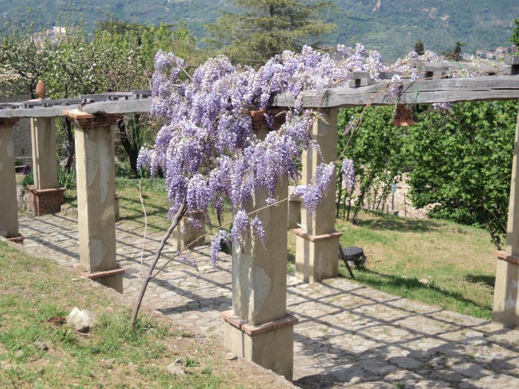 Agriturismo Il Daino Villa San Piero Patti Exterior photo